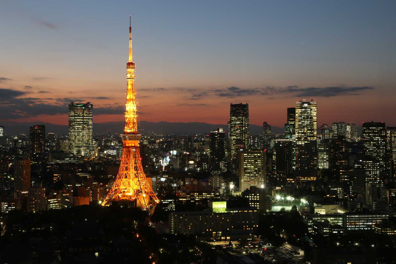 Urban Exploration in Tokyo: Discovering Japan’s High-Tech Metropolis