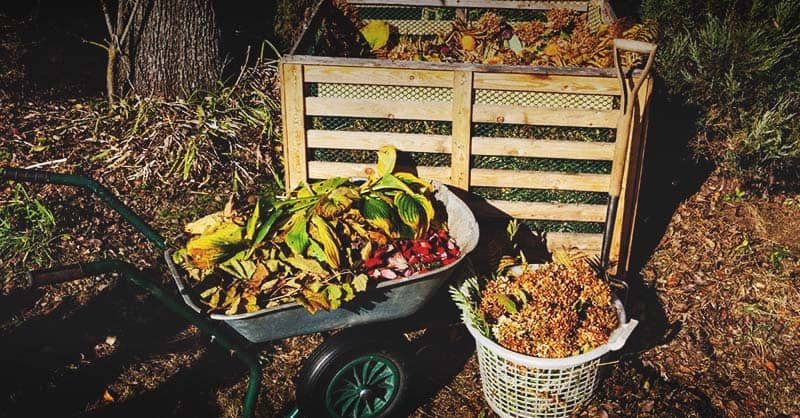 Composting 101: Turning Kitchen Scraps into Garden Gold