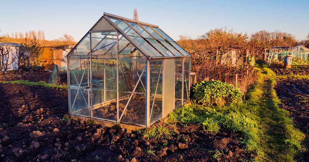 DIY Greenhouse Ideas: Extending Your Growing Season