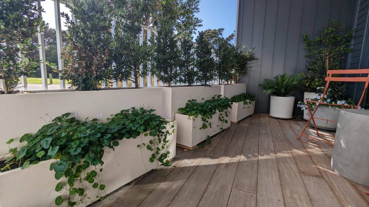 Urban Gardening: Making the Most of Limited Space