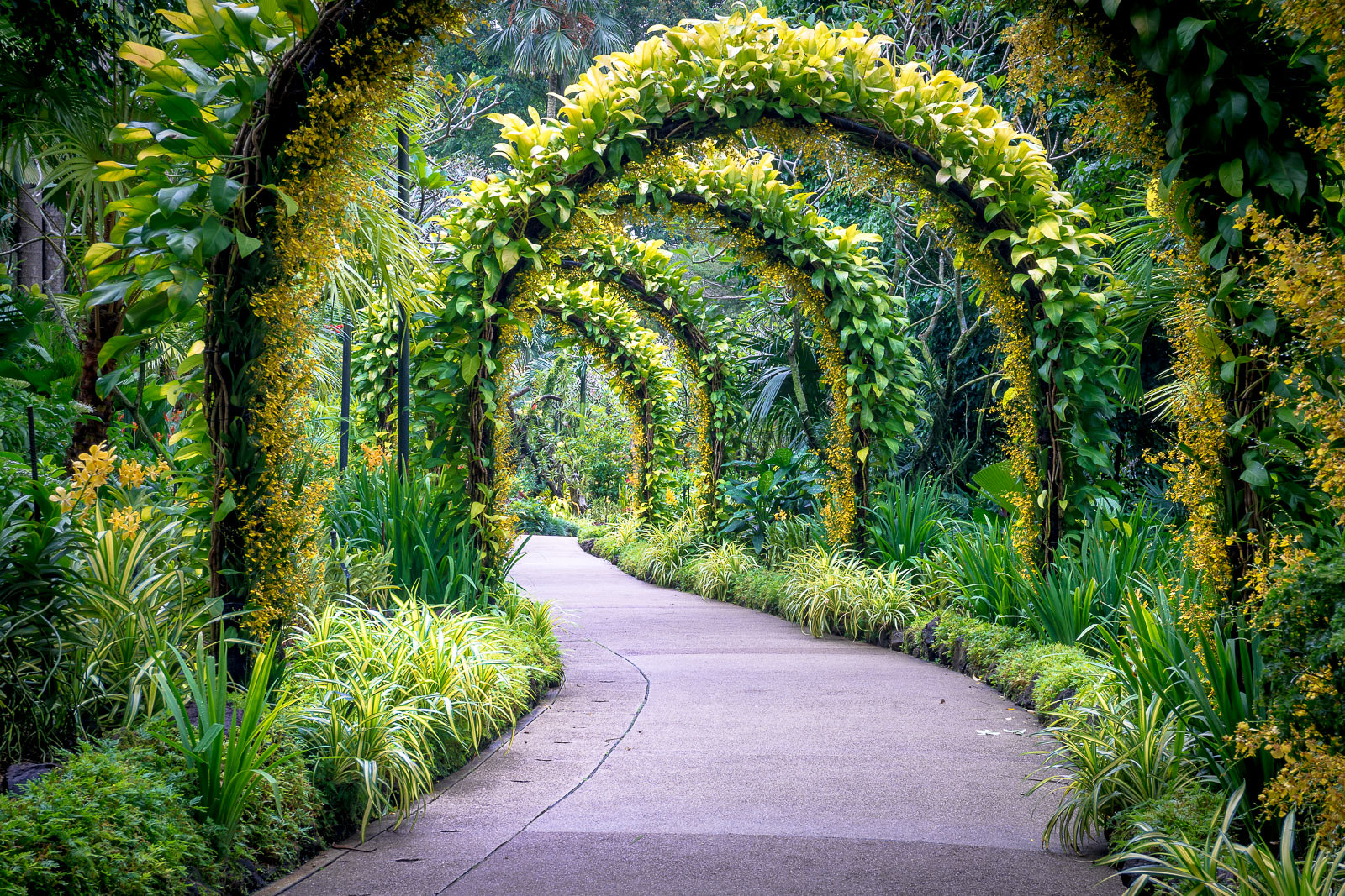 Things To Do In Singapore: 10 Must-Do Activities in Singapore
