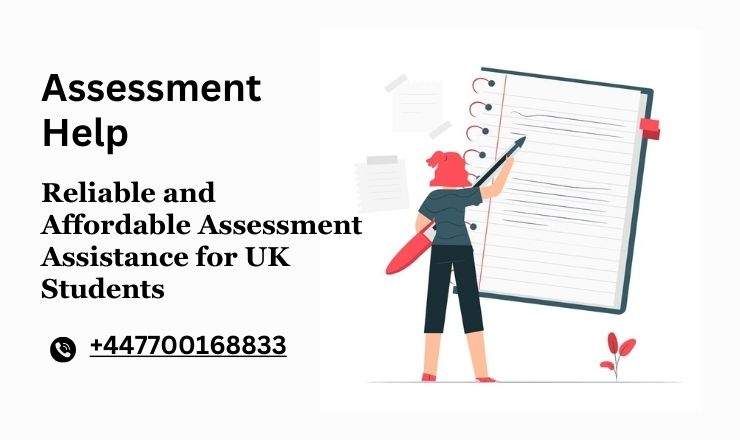 Reliable and Affordable Assessment Assistance for UK Students