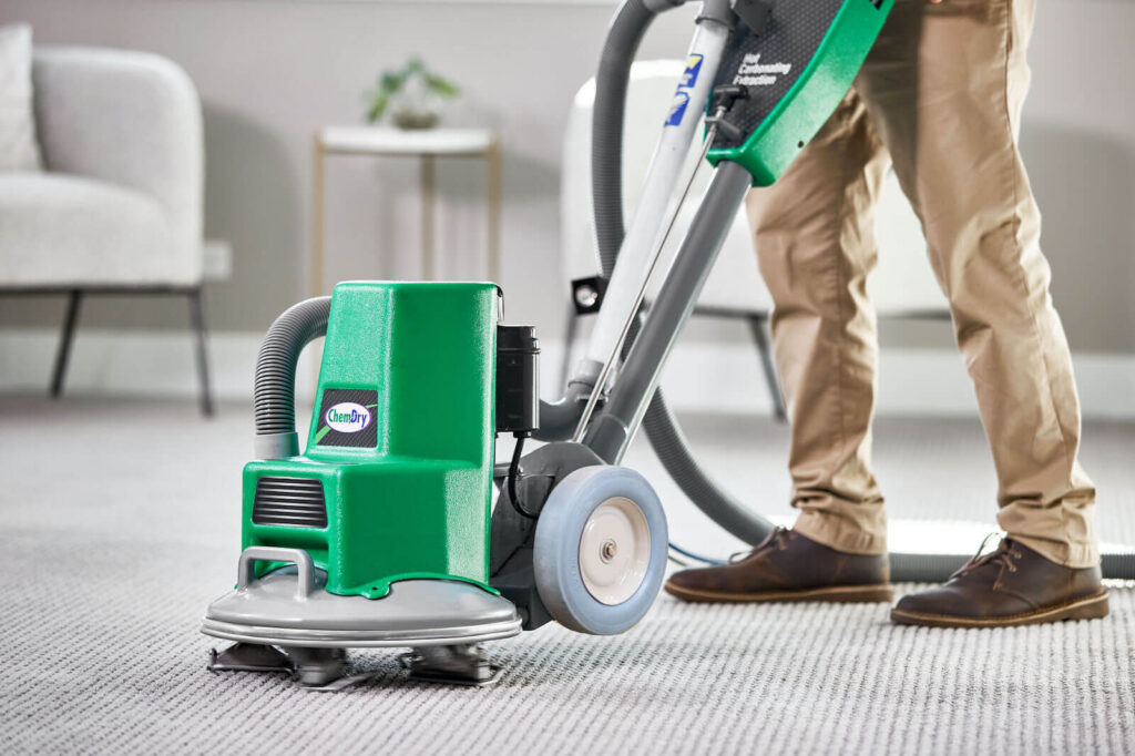 Clearing the Hurdle: How Carpet Cleaning Services Tackle Allergens