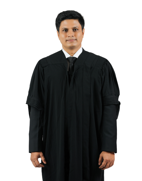 Understanding the Role and Importance of a Litigation Lawyer