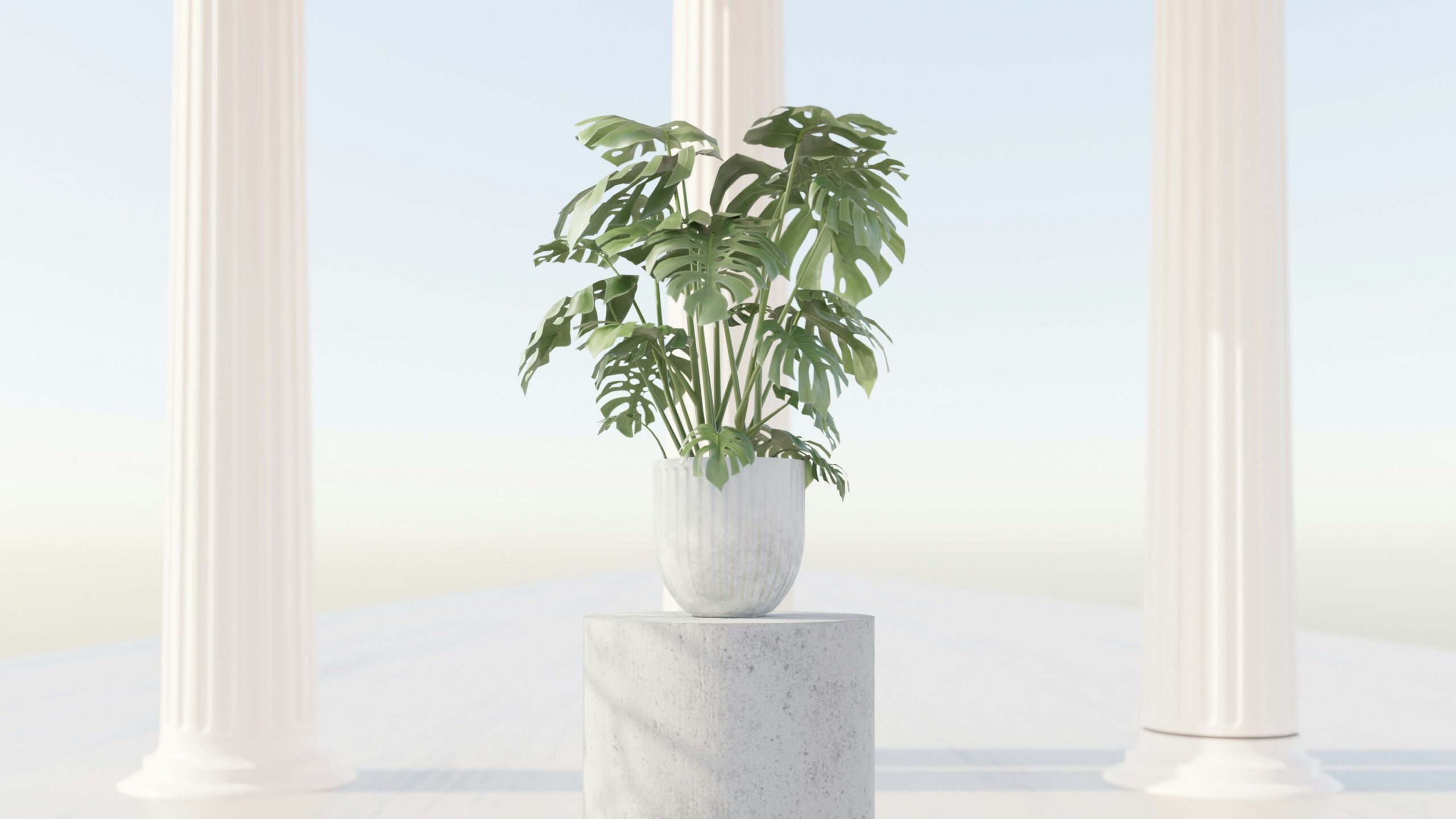 10 Stunning Ways To Incorporate Marble Planters Into Your Home Décor