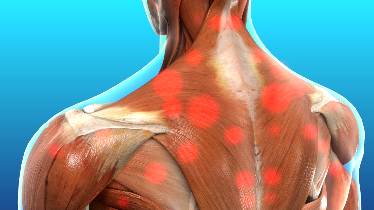 Shoulder Pain: Understanding the Causes and Effective Treatments